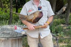 IMG_4301-scaled