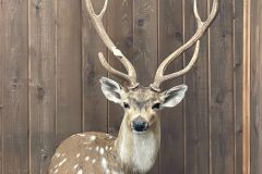 IMG_5363-rotated